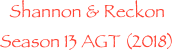 Shannon & Reckon
Season 13 AGT (2018)